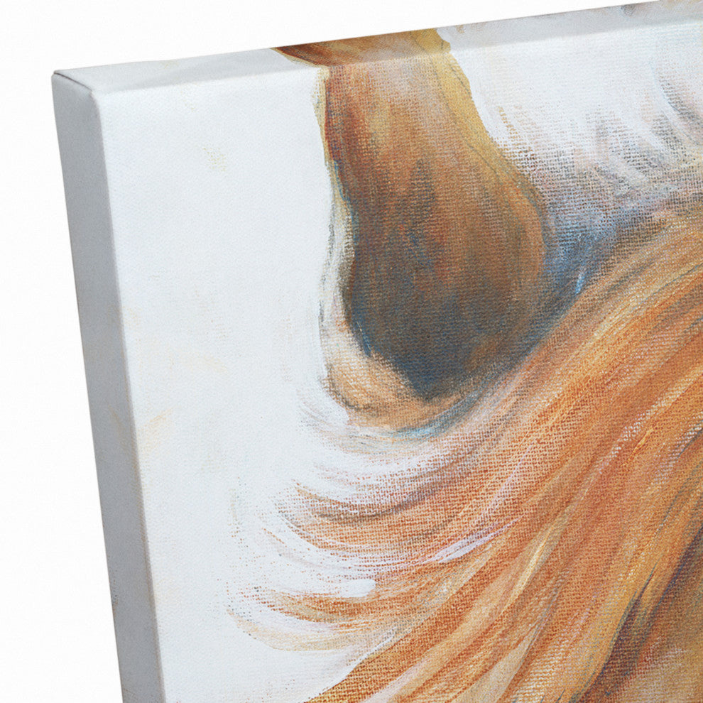 Native American Horse 20x30 Canvas Wall Art