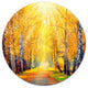 Yellow Autumn Trees In Sunray, Landscape Art Round Wall Art, 11"