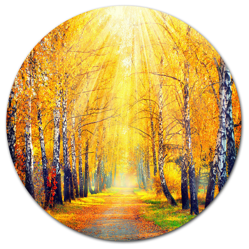 Yellow Autumn Trees In Sunray, Landscape Art Round Wall Art, 11"