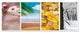 Four Seasons World Collage, Landscape Canvas Art Print, 70"x28", 6 Panels