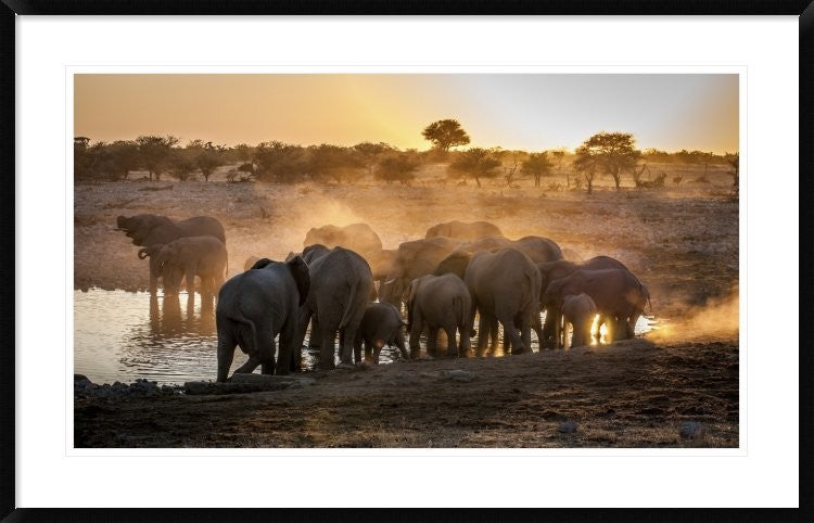 "Elephant Huddle" Framed Digital Print by Simon Van Ooijen, 44x28"