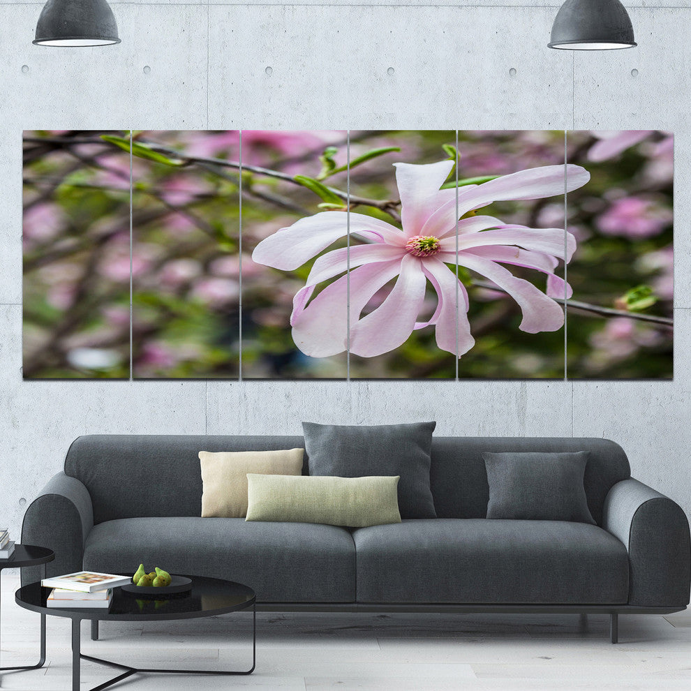 Beautiful Magnolia Flowers, Large Floral Canvas Art Print, 70"x28", 6 Panels