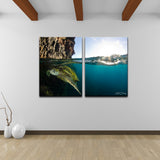 Ready2HangArt Christopher Doherty 'Sea Turtle' Canvas Wall Art (2 Piece)