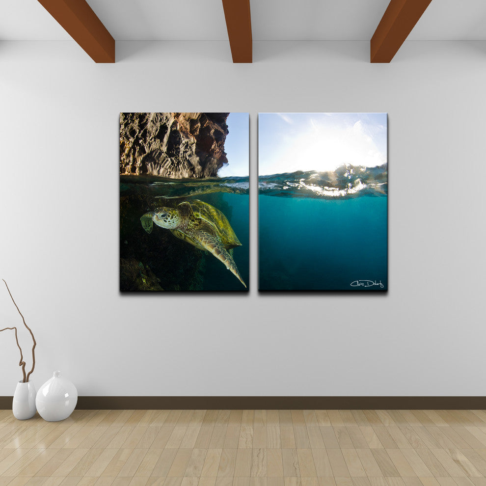 Ready2HangArt Christopher Doherty 'Sea Turtle' Canvas Wall Art (2 Piece)