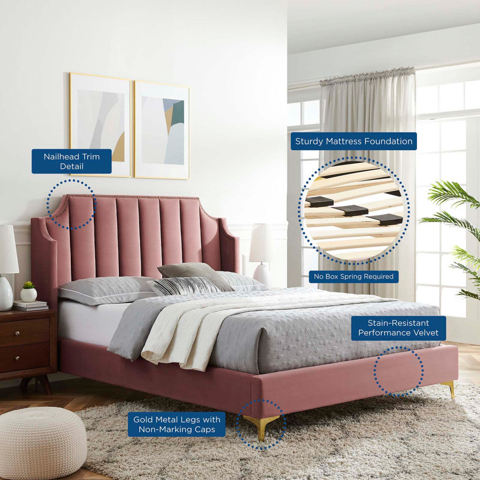 Platform Bed Frame, Queen Size, Velvet, Pink, Modern Contemporary, Bedroom