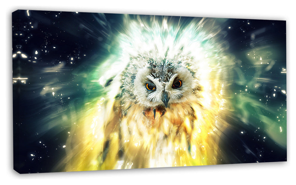 Owl over Colorful Abstract Image, Animal Canvas Wall Art, 32"x16"