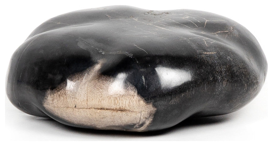 Petrified Wood Organic Sculpture-Dark