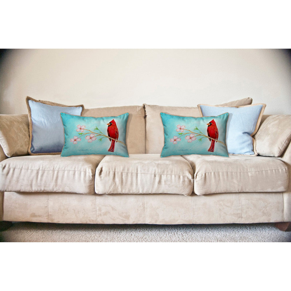 Dick's Cardinal Large Indoor/Outdoor Pillow 16x20