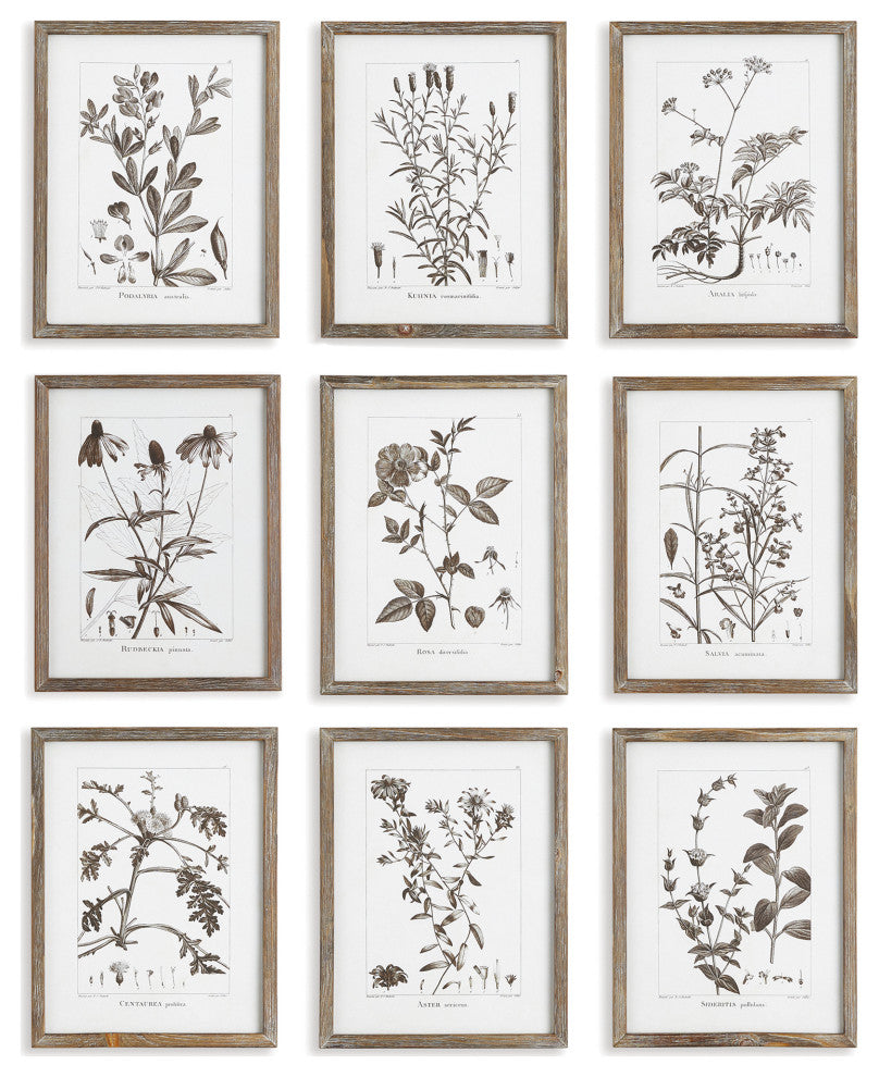 Rustic Foliage Study