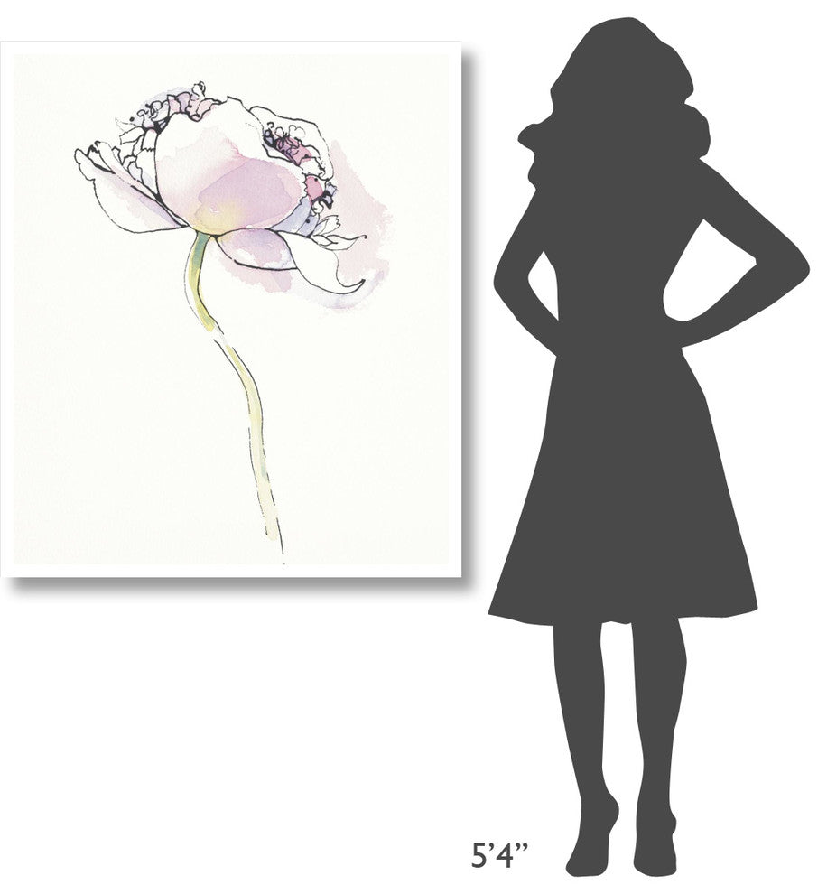 "Single Pink Somniferums I on White" Print by Shirley Novak, 36"x42"