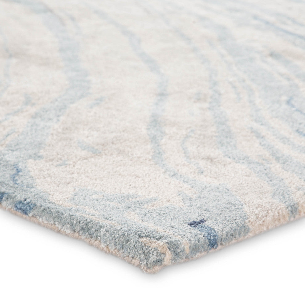 Jaipur Genesis Atha Ges22 Organic and Abstract Rug, Blue and Gray, 6'0"x6'0"