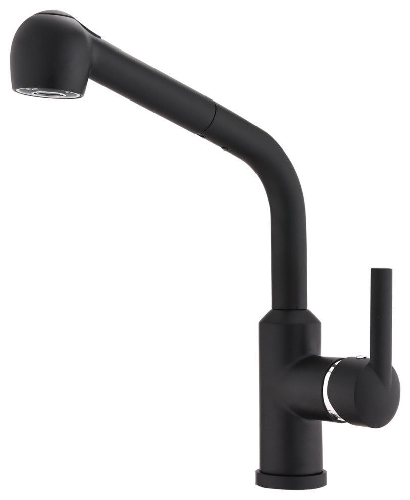 Givingtree Brass Single Handle Pull Out Kitchen Faucet Matte Black