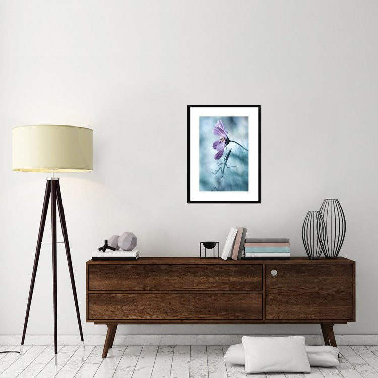 "Newtonian Physics" Framed Digital Print by Fabien Bravin, 24x32"
