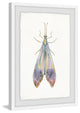 "Slender Purple Beauty" Framed Painting Print, 16"x24"
