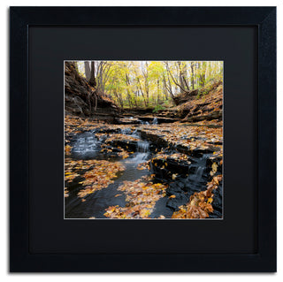 'Lakeview Autumn Falls' Matted Framed Canvas Art by Kurt Shaffer