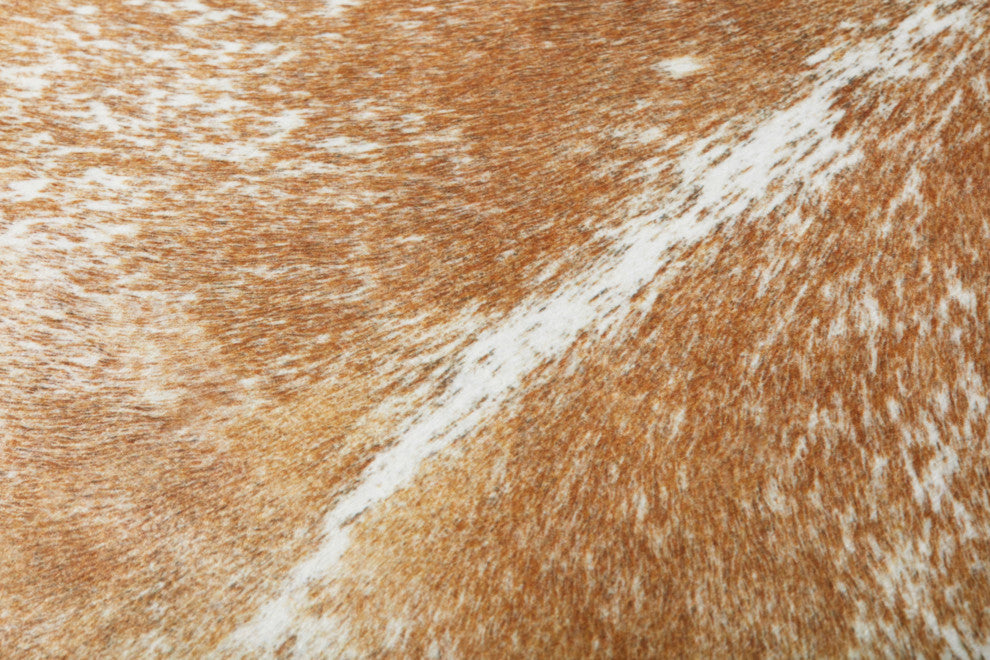 Loloi FP0002 Beige / White 36"W x 36"D x 6"H Pillow