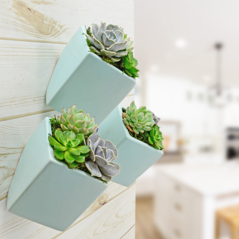 Arcadia Garden Products Large Cube Wall Planter, Mint
