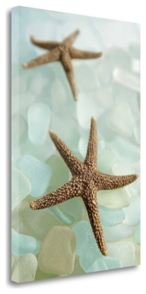 33" Two Brown Starfish and Blue Seaglass Giclee Wrap Canvas Wall Art