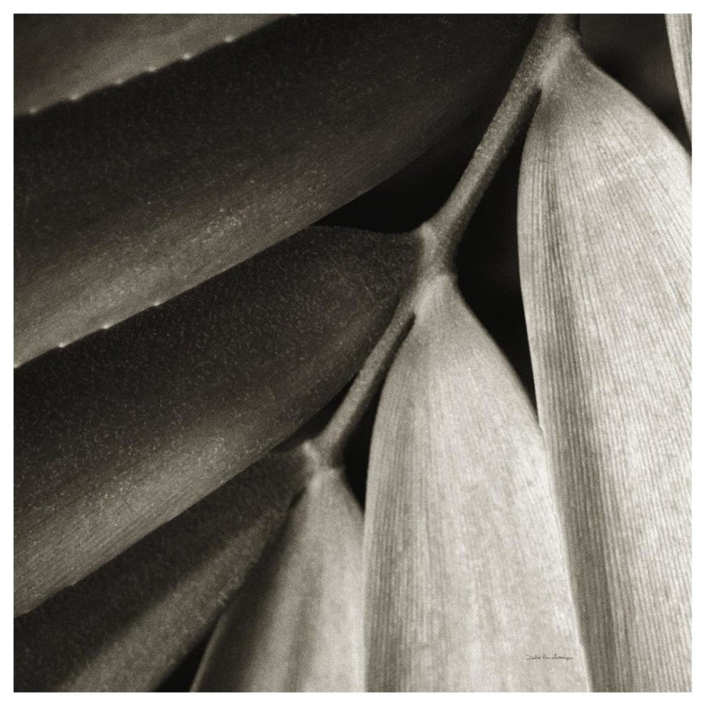 "Tropical Plant II" Digital Paper Print by Debra Van Swearingen, 32"x32"