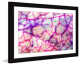 "Pink Veins" Framed Art Print