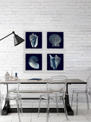 "All About Shells Quadriptych" Framed Painting Prints, 36"x36", 4-Piece Set