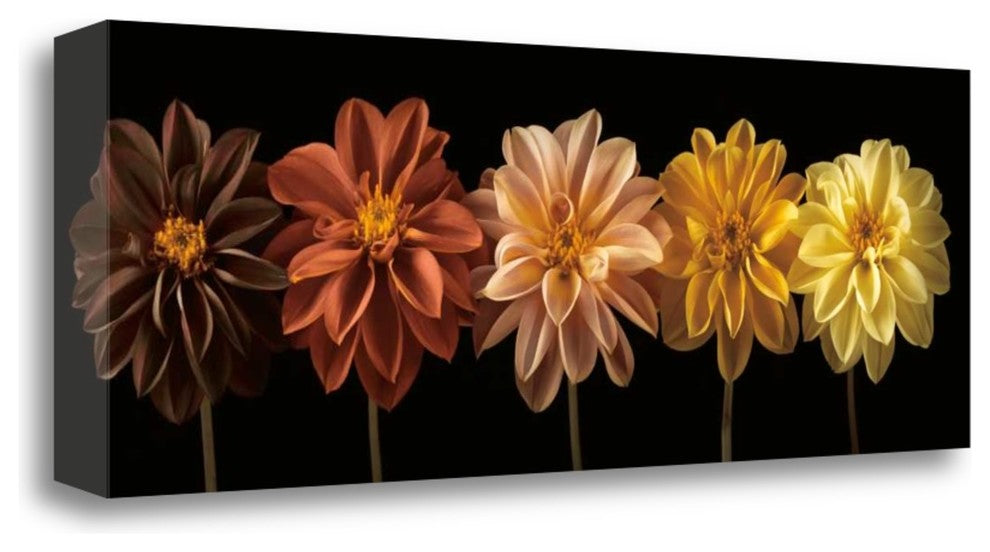 "Floral Salute" By Assaf Frank,Ready to Hang Giclee Print on Gallery Wrap Canvas