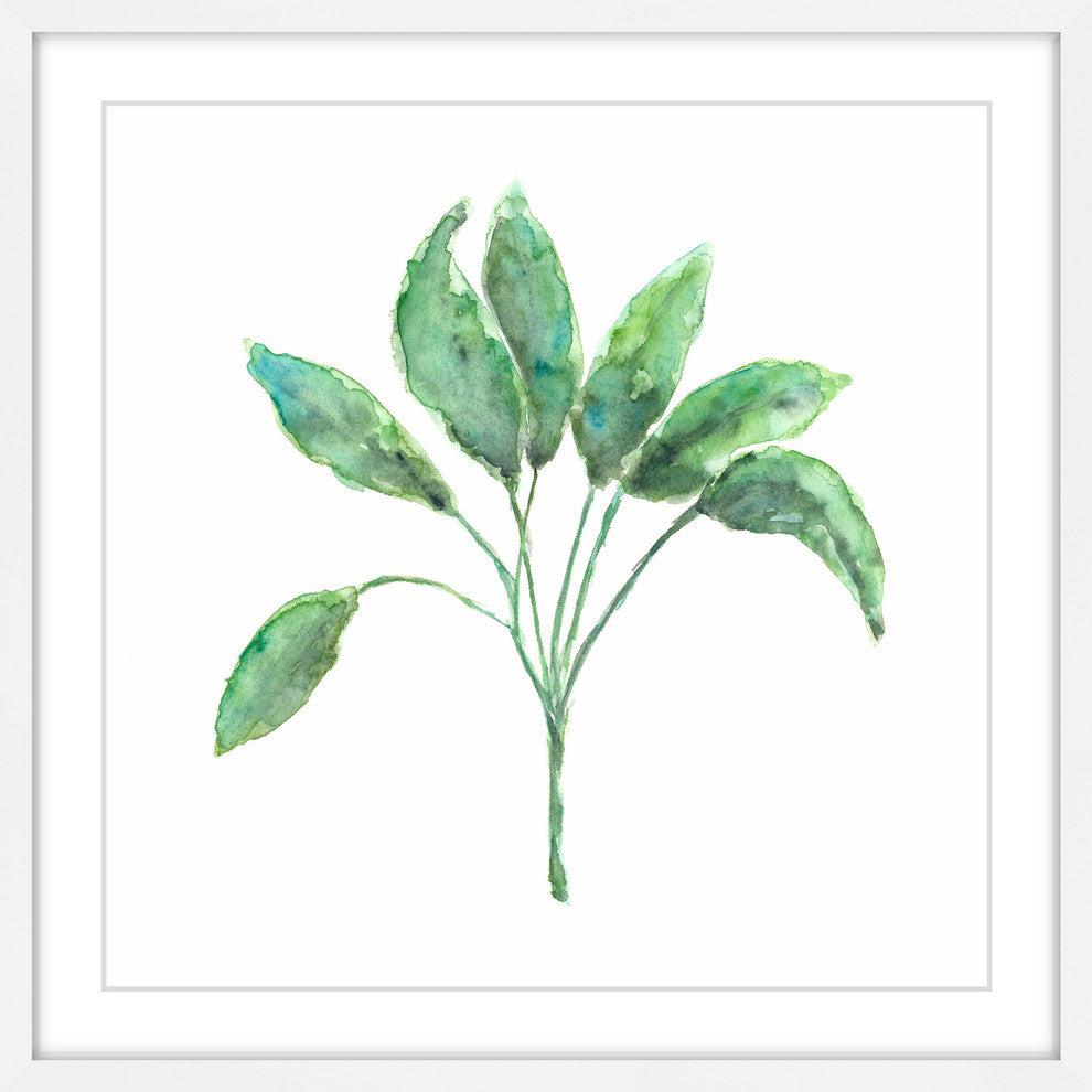 Marmont Hill, "Sage Herb" by Thimble Sparrow Framed Painting Print, 32x32