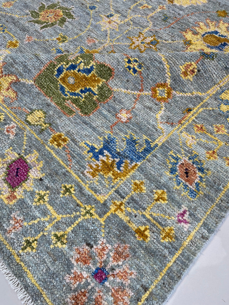 Gray Oriental Classic Agra Area Rug