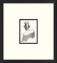 Topper Collection 7, Giclee Reproduction Artwork