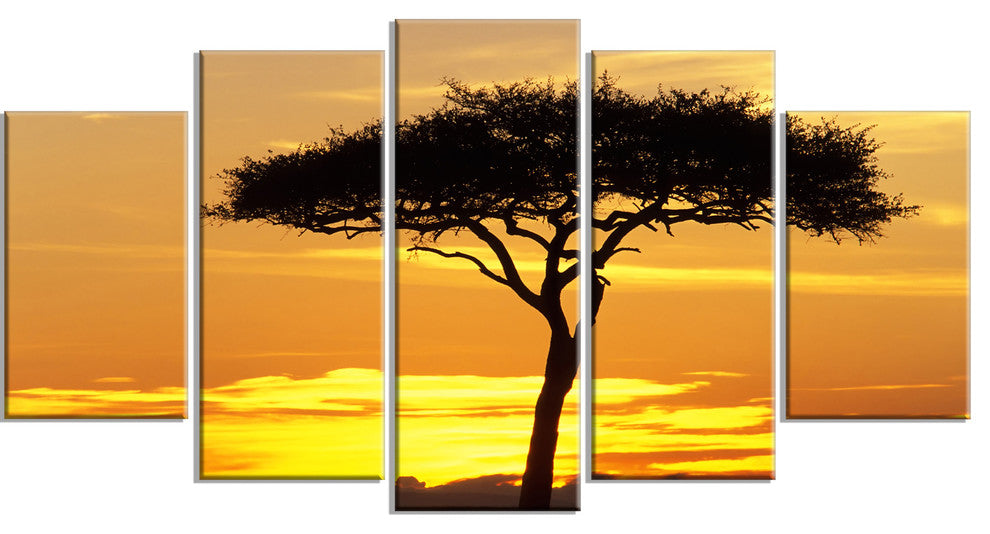 Beautiful Sunset Through Acacia Tree, Landscape Canvas Print, 60"x32", 5 Panels