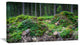 "Wild Deep Forest Rocks And Hills" Landscape Art Print Canvas, 1 Panel, 60"x28"