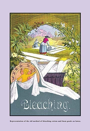 Bleaching- Gallery Wrapped Canvas Art 28" x 42"