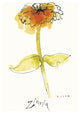 "Zinnia III" Digital Paper Print by Shirley Novak, 26"x42"