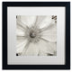 Alan Blaustein ''Florison 32'' Art, Black Frame, White Mat, 16x16