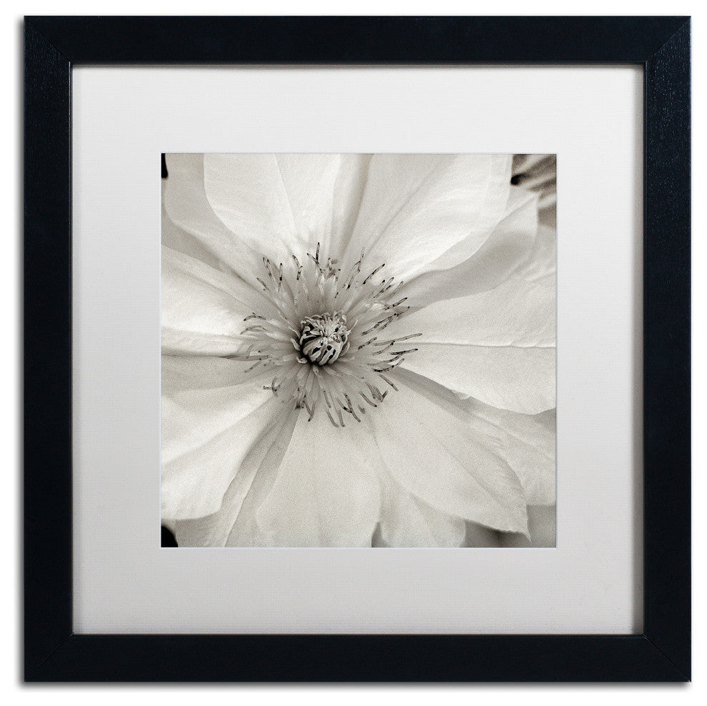 Alan Blaustein ''Florison 32'' Art, Black Frame, White Mat, 16x16