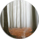 Misty Autumn Beech Forest, Landscape Photo Round Wall Art, 11"