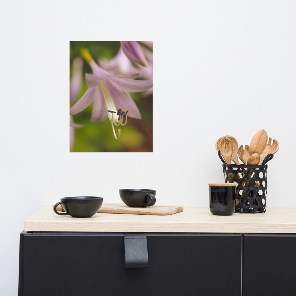Close-up Hosta Bloom Nature Photography, Floral Unframed Wall Art Print, 12" X 16"