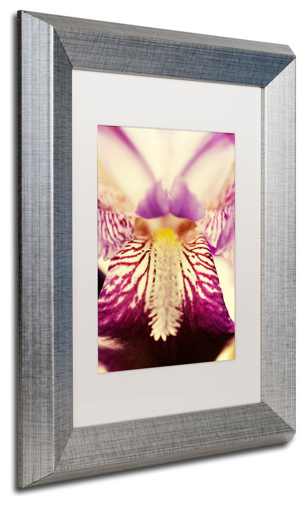 PIPA Fine Art 'Antiqued Iris' Matted Framed Art, 14x11