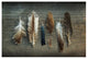 "Feather Collection I" Digital Paper Print by Sue Schlabach, 32"x22"