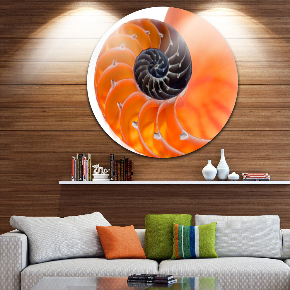 Orange Nautilus Shell, Abstract Art Disc Metal Wall Art, 23"