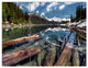 Sunken Logs n Mountain Lake, Landscape Canvas Art Print, 36x28, 3 Panels