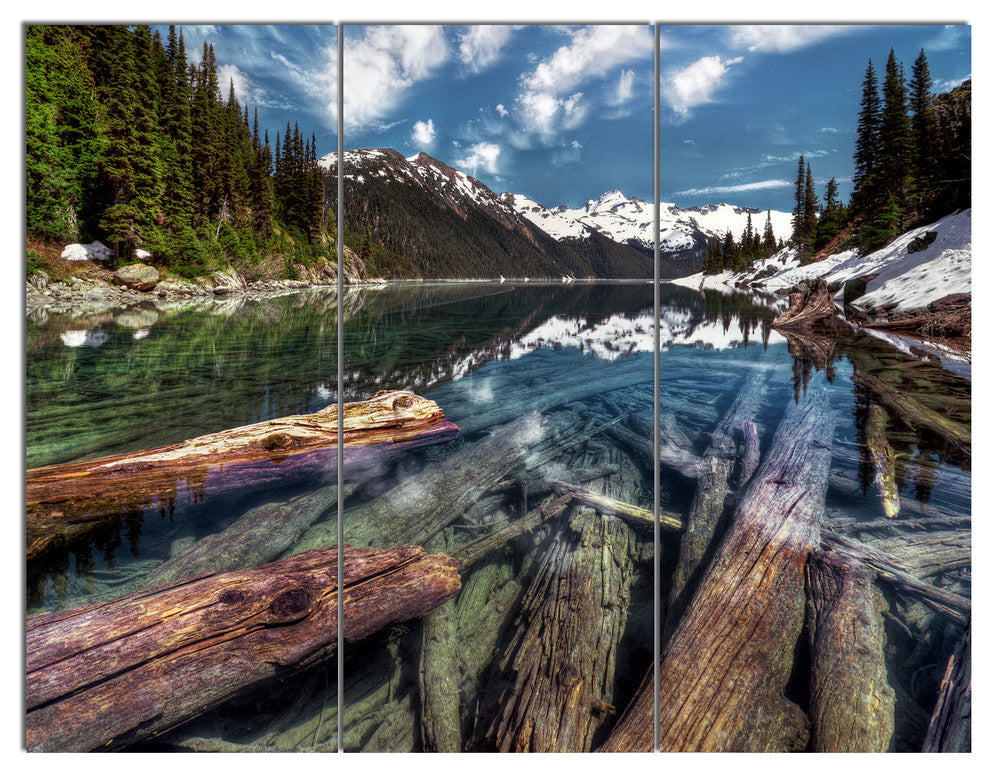 Sunken Logs n Mountain Lake, Landscape Canvas Art Print, 36x28, 3 Panels