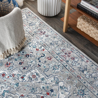Modern Persian Vintage Medallion Light Grey/ Multi 3' x 5' Area Rug
