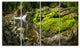 Creek Moss and Rocks Panorama, Landscape Canvas Art Print, 48"x28", 4 Panels