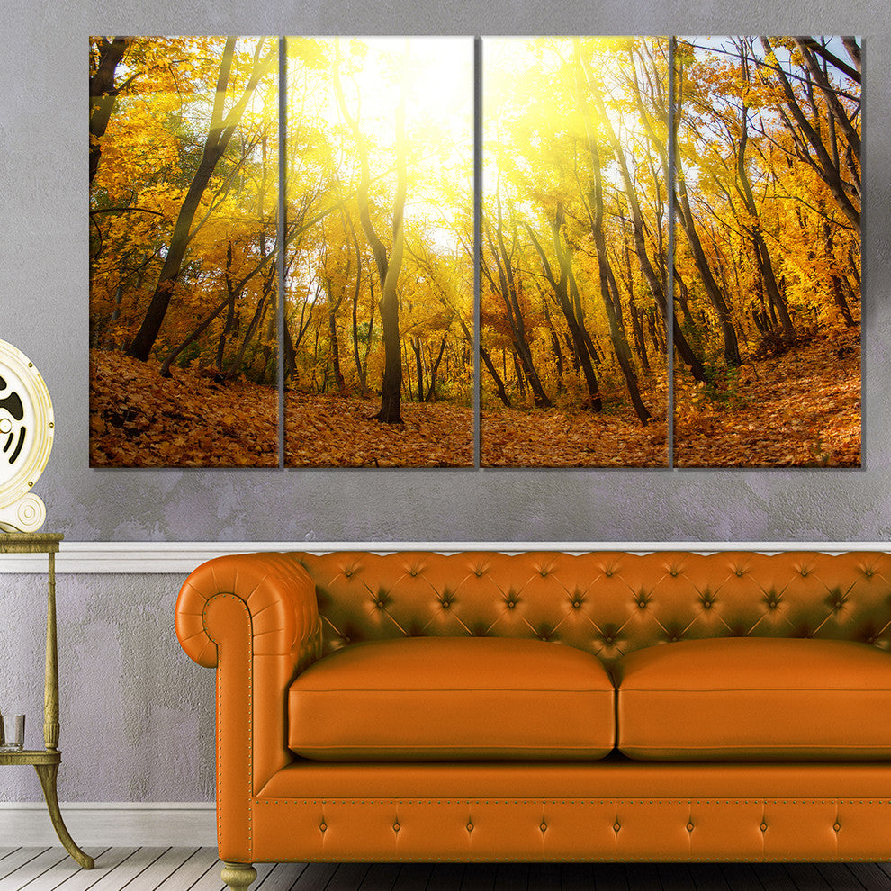 Yellow Autumn Forest in Sunlight, Forest Canvas Art Print, 48"x28", 4 Panels