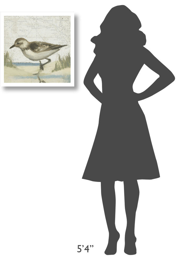 "Beach Bird IV" Digital Paper Print by James Wiens, 20"x20"