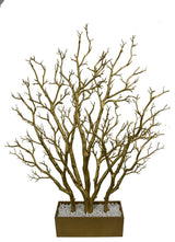 Dormant Tree With Wide Pot, Gold