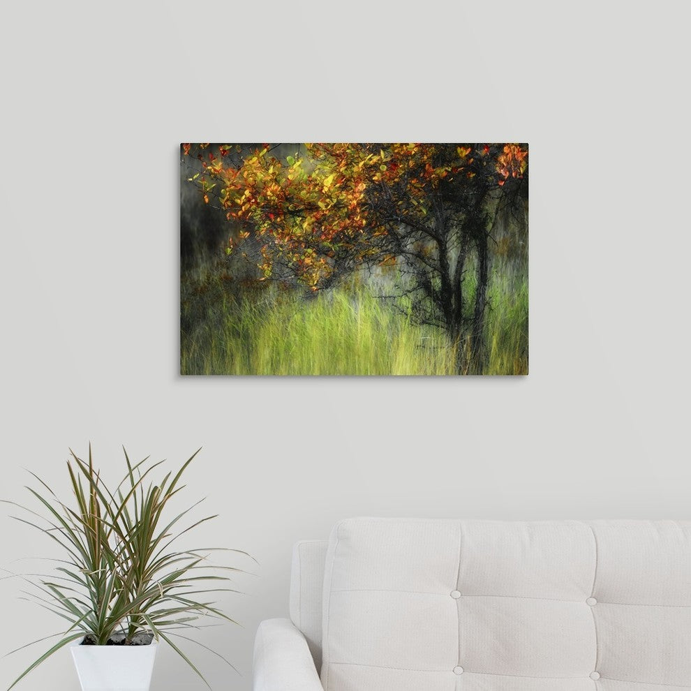 "Bittersweet " Wrapped Canvas Art Print, 24"x16"x1.5"