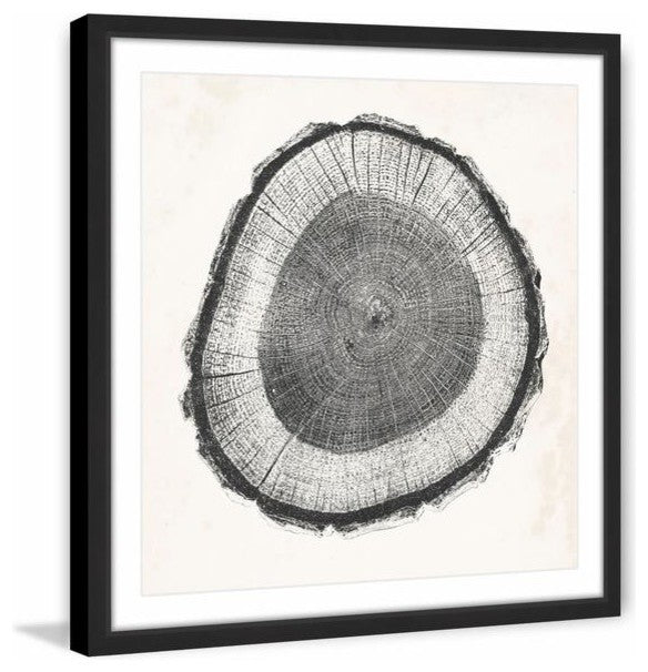 "Tree Ring II" Framed Painting Print, 24"x24"