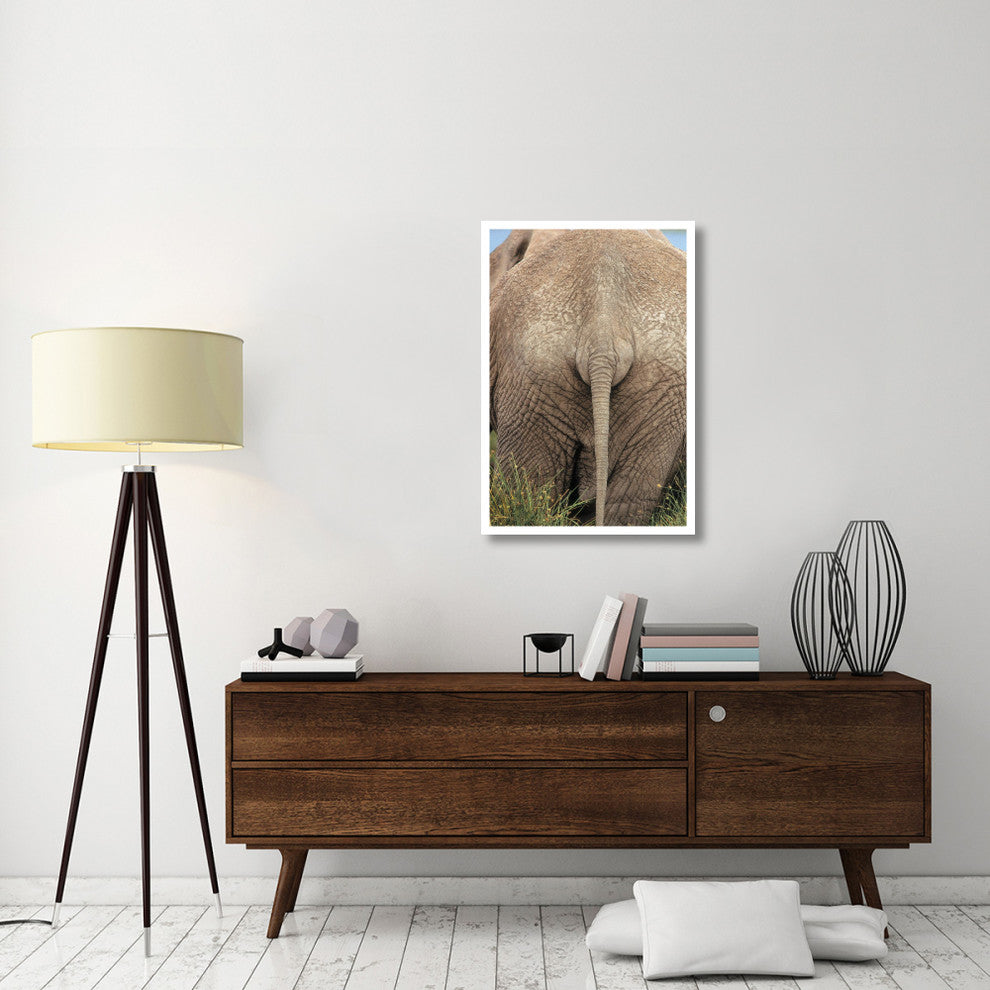 "African Elephant butt, Africa" Digital Paper Print by Tim Fitzharris, 26"x38"